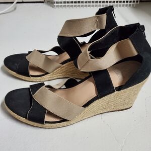 Two-Tone Wedges